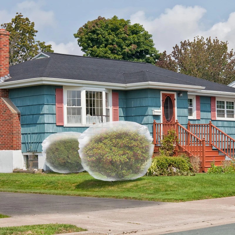 Tmfsode 2 Pack Fruit Tree Netting Cover with Zipper and