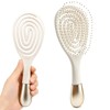 Cepillo desenredante ventilado para el cabello, ideal para mujeres y