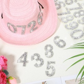 Yinder 60pcs Bling Rhinestone Numbers Self-Adhesive Glitter Number Crystal Iron-on Numbers Stickers 0-9 DIY Crafts Stickers Letter for Clothing Decoration 2.56 inches (Silver)