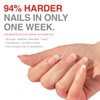 Probelle Nail Strengthener, Nail Strengthening Treatment, Nail Growth and Repair,