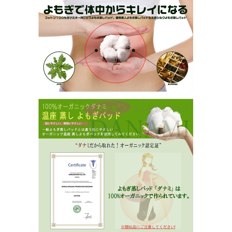 Danami Steaming Mugwort Pad (DANAMI) 20 Pad, Genuine = Organic