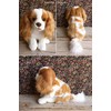 Cavalier King Charles Spaniel Dog (Blenheim) Floppy Soft Cuddly Toy