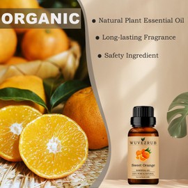 Sweet-Orange Essential Oils 10ML, Organic 100% Pure and Natural Sweet-Orange Essential Oil for Aromatherapy Diffuser - 0.33 Fl Oz/Sweet-Orange