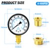 TAILONZ PNEUMATIC 0-7 Bar 2" DIAGRAM 1/4" BSP Well Pump