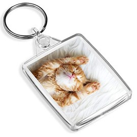 Sleeping Ginger Kitten Keyring Cat Cats Animal Cute Baby Fun Keyring Gift #13113
