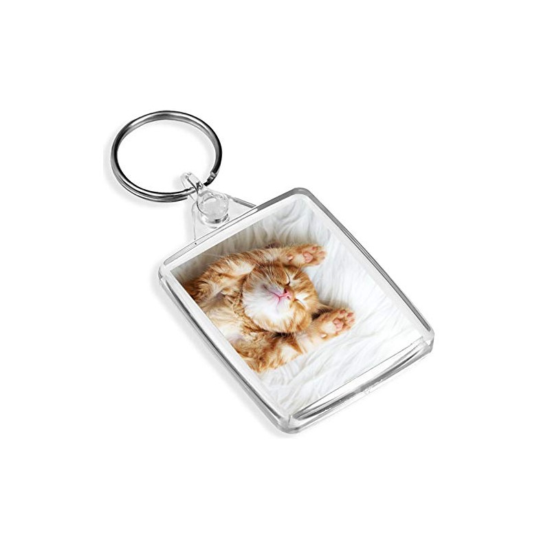Sleeping Ginger Kitten Keyring Cat Cats Animal Cute Baby Fun