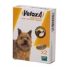 Veloxa Chewable Dog Wormer, 2 Tablets