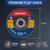 WORKPRO 10PC Flap Disc 40/60/80/120Gr