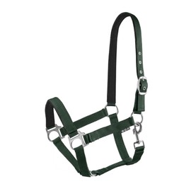 Start Economic Lined Halter for Horses Thoroughbred, Pony - Stable Halter with Two-Level Adjustment - Chin and Headpiece - Pasture Headcollar Warmblood Neoprene Lined (Dark Green, Cob)