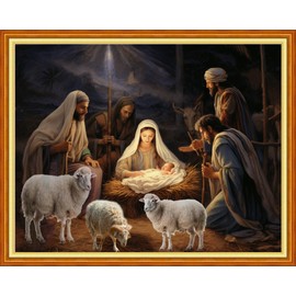 Findvoor Stamped Cross Stitch Kits for Beginner Embroidery Kits for Beginners Adults DIY 11CT Cross Stitch Patterns Needlepoint Kits Crossstitching Kits-Nativity 16x20 inch