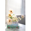 Ligtmor Small Book-Shaped Decorative design Planter, Ceramic for Home Decor,