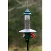 Squirrel Buster Plus Squirrel-proof Bird Feeder w/Cardinal Ring and 6