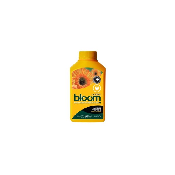 Bloom Yellow Bottles Ultra