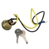 Ignition Key Starter Switch with 2 Keys Fits for Massey