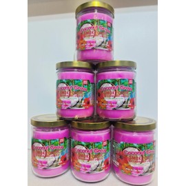 Smoke Odor Exterminator 13oz Jar Candle, Coconut Grove Six Pack.