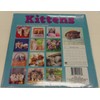 Prissy's High Society KITTENS 2018 CALENDAR 12 MONTH 12" X