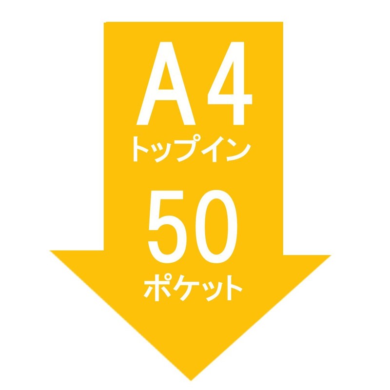 テージー 透明ポケット A4 2穴 50P P-142E