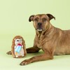 Fringe Studio "BE Cool, BE HEDGY Plush Dog Toy, Pet