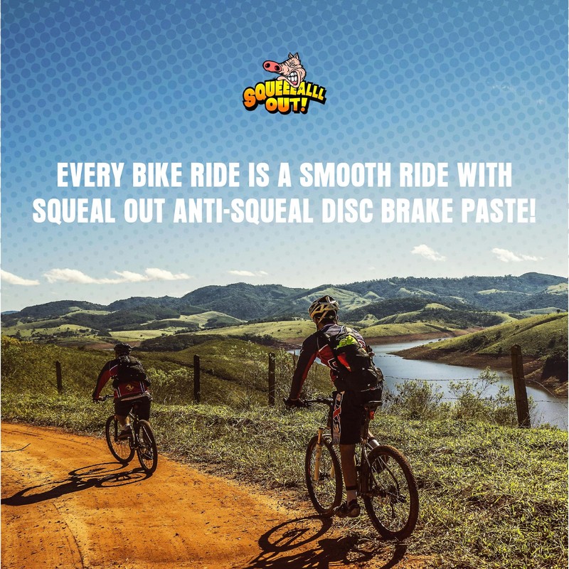 Squeal Out Anti-Squeal Disc Brake Paste, Brake Lubricant, 3 oz