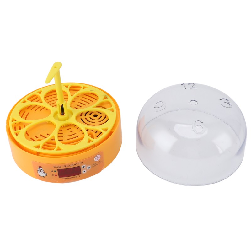 6 Egg Incubator Automatic Egg Turner with Temperature Control Poultry