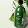 Champú Luseta Tea Tree Con Aceite De Argán, 500 Ml,