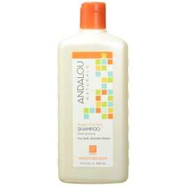Andalou Naturals Argan Oil & Shea Moisture Rich Shampoo, Orange, 11.5 Ounce