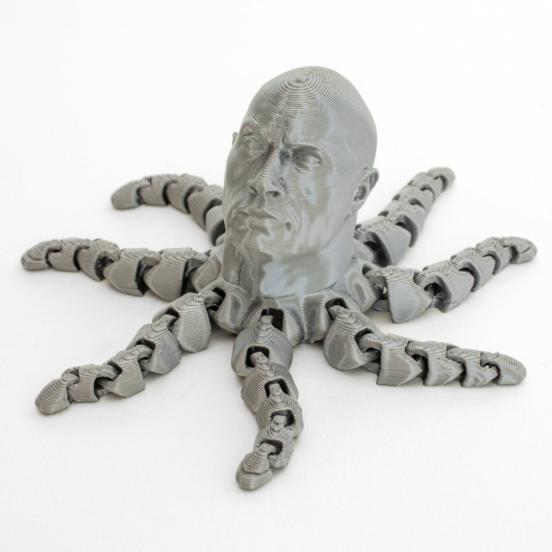 The Rocktopus Flexible Articulating 3D Printed Companion - Rock Dwayne