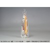 Asuka Model YMCP-015 Chotopramo Series Spin-Off Udra Yamoud Ver. &