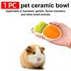 AIMALL Ceramic Carrot Small Animal Bowl 4.4x2.5x1in Split Feeding Dish