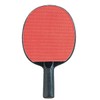 Champion Sports PN4 Table Tennis Paddle,Small