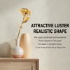 24K Gold Plated Rose Clear Texture Romantic Exquisite Long Lasting