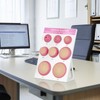 Cervical Dilation Simulator with 1-8cm, Chart on Display Board for