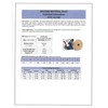 Blue Demon E71T-1/1M X .035 X 11LB Spool Dual Shield