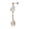 Pokemon Center Original Pokémon Accessory Earrings 87 Tamasarashi