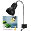 25W Reptile Heat Bulb Clamp Light Set 360 Degree Rotation