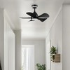 GLOBE Electric 37000106 30" Ceiling Fan with LED Light, Nightlight,