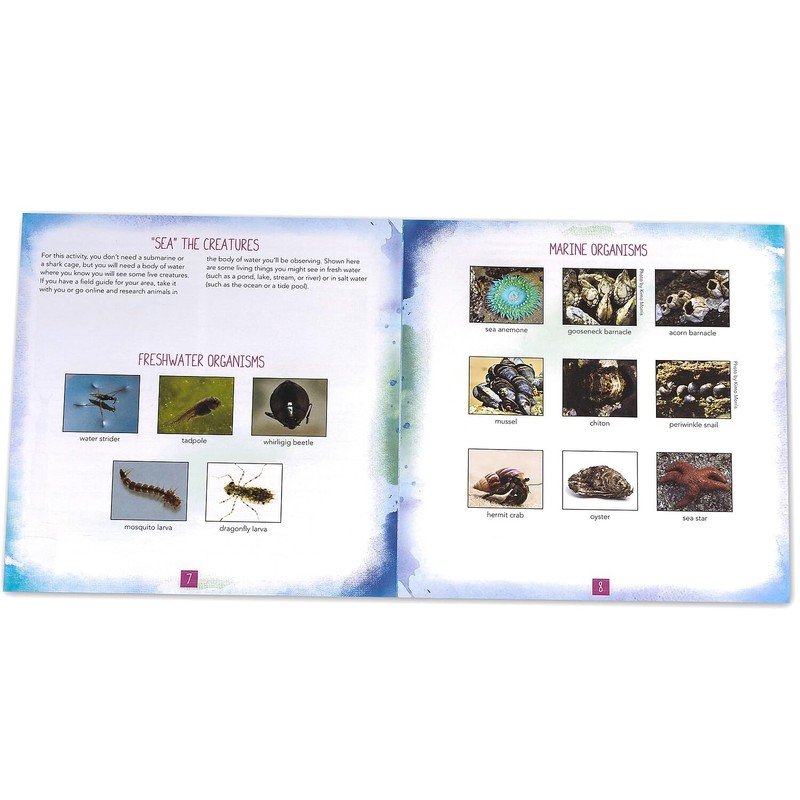 Educational Insights Nancy B's Science Club AquaScope, Explore Underwater Without