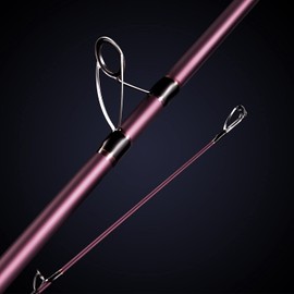 Berrypro Surf Spinning & Casting Fishing Rod Carbon Fiber Travel Fishing Rod (9 Feet /10 Feet /12 Feet) (11'-Spinning 2-Piece)