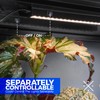 Barrina T5 Plant Grow Lights for Indoor Growing, 2FT 80W