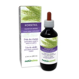 Naturalma Horsetail (Equisetum arvense) herb Alcohol-Free Tincture - 6.76 fl oz Liquid Extract in Drops - Herbal Supplement - Vegan