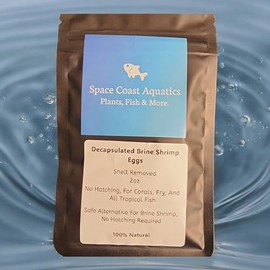 Generic Decapsulated (Shell Removed) Brine Shrimp Eggs, Straight to Feeding, No Hatching for Corals, Fry, Babies All Small Tropical Fish