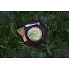 OMGTea Gift Set with AA Organic Matcha Great Taste 2021