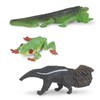 Safari Ltd. Rainforest TOOB - 11 Figurines: Macaw, Frogs, Toucan,