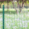 FOREHOGAR Green PVC Coated Welded Wire Fence 24 Inch x
