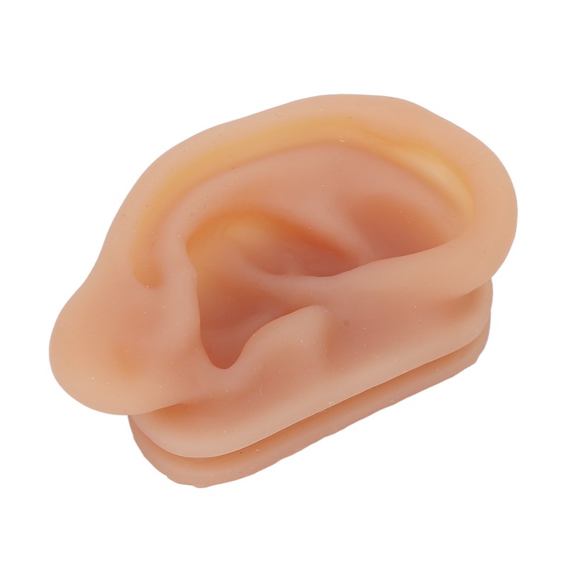Silicone Ear Model Simulated Ear Model Acupuncture Practice Tool with