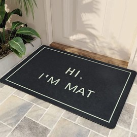 DXTDDBD Hi I'm Mat Non Slip Rugs Soft Bath Rugs for Indoor Entrance Floor Door Mat Dries Quickly Kitchen Mat Natural Durable Easy to Maintain Bath Mat 16x24 inch