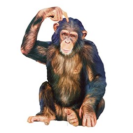 Collections Etc Realistic Sitting Chimp Outdoor Decorative Garden Stake