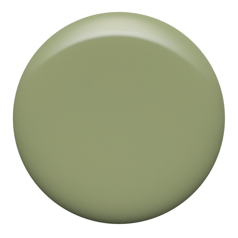 Nailtopia Bio-Sourced, Chip Free Nail Lacquer - All Natural, Strengthening