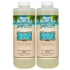 Salt Support Stain & Scale (1 qt) (2 Pack)