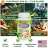Gardenera Bonsai Vitality - 32 oz - Concentrated Kelp &